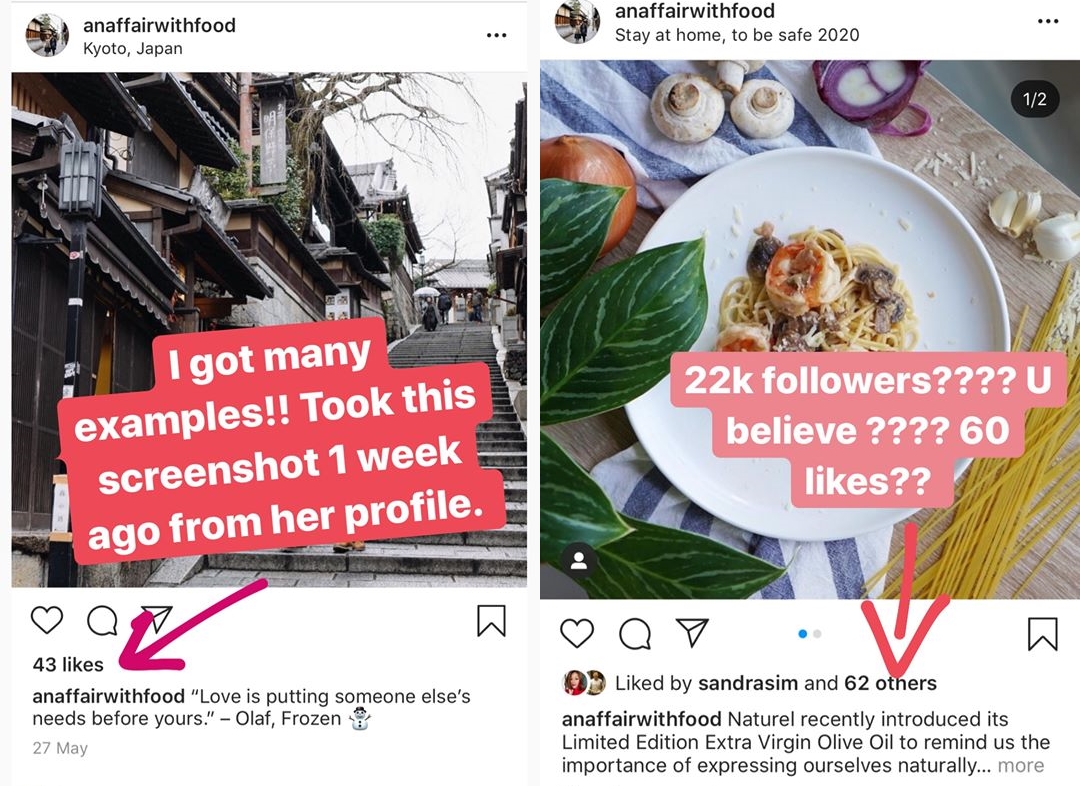 Frozendozen influencer fake followers An Affair With Food Venie Lin