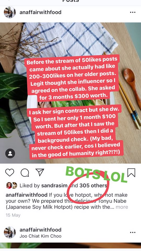 Frozendozen influencer fake followers An Affair With Food Venie Lin