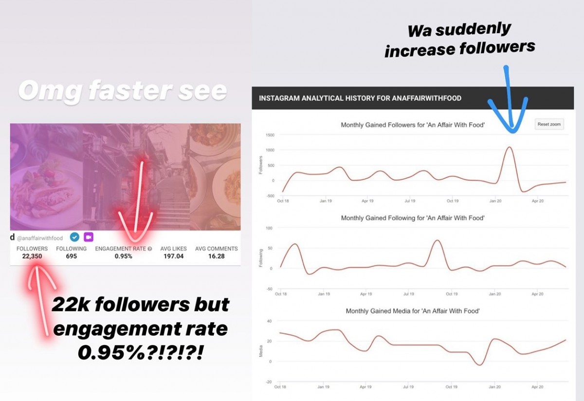 Frozendozen influencer fake followers An Affair With Food Venie Lin