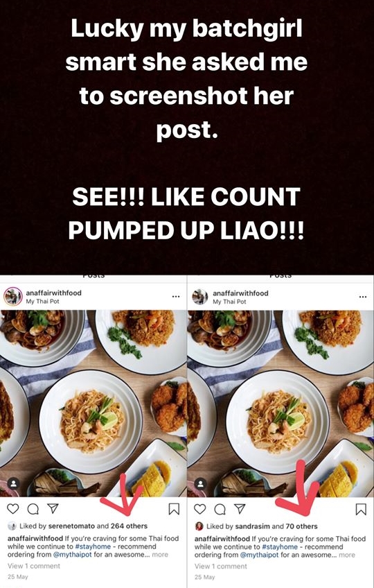 Frozendozen influencer fake followers An Affair With Food Venie Lin