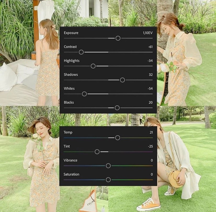 Lightroom Preset Greenland Filter