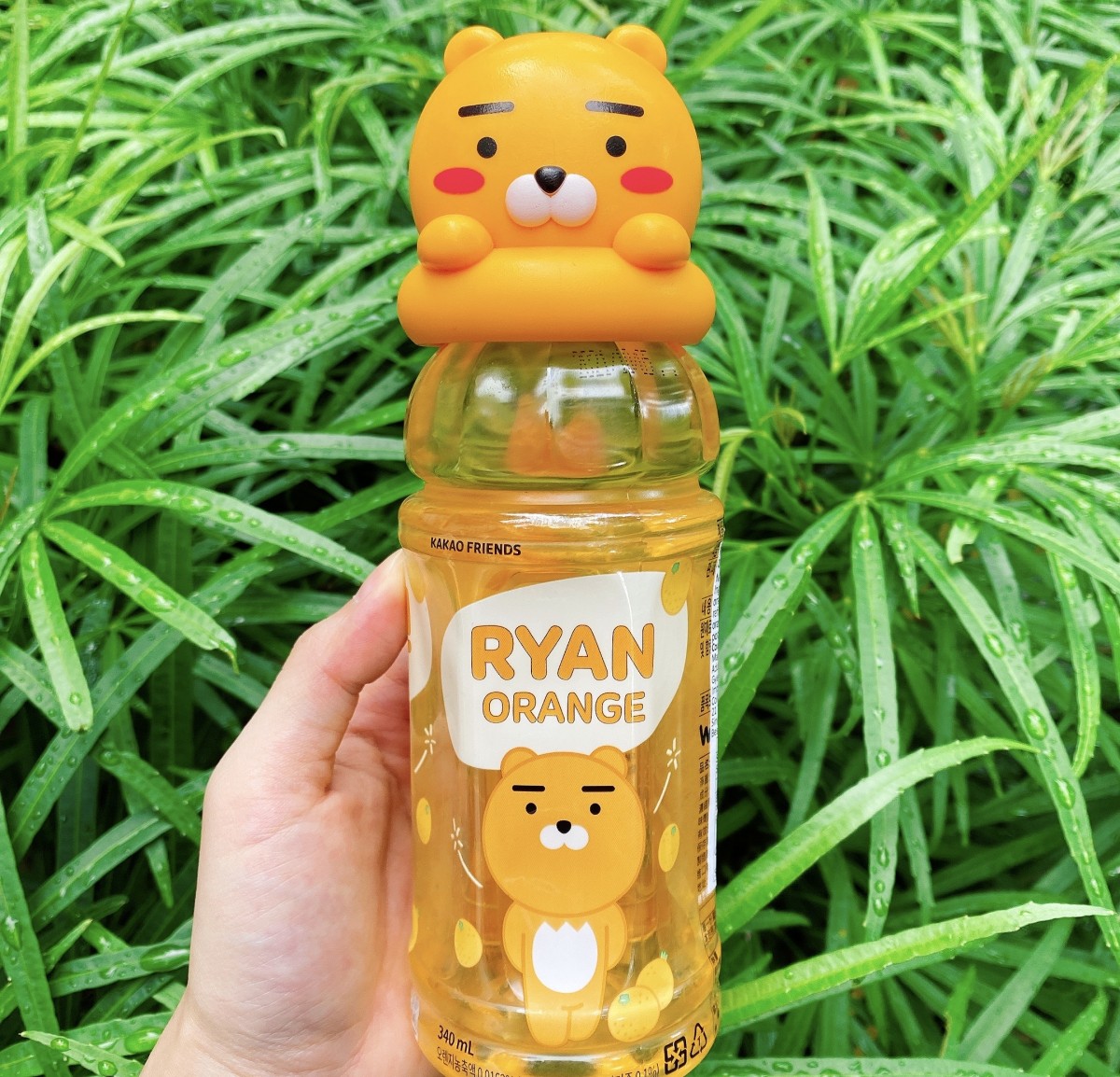 kakao-friends-water-bottles