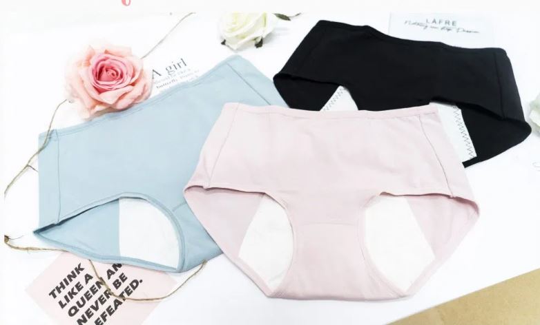 Period underwear menstrual panties Lafre Singapore