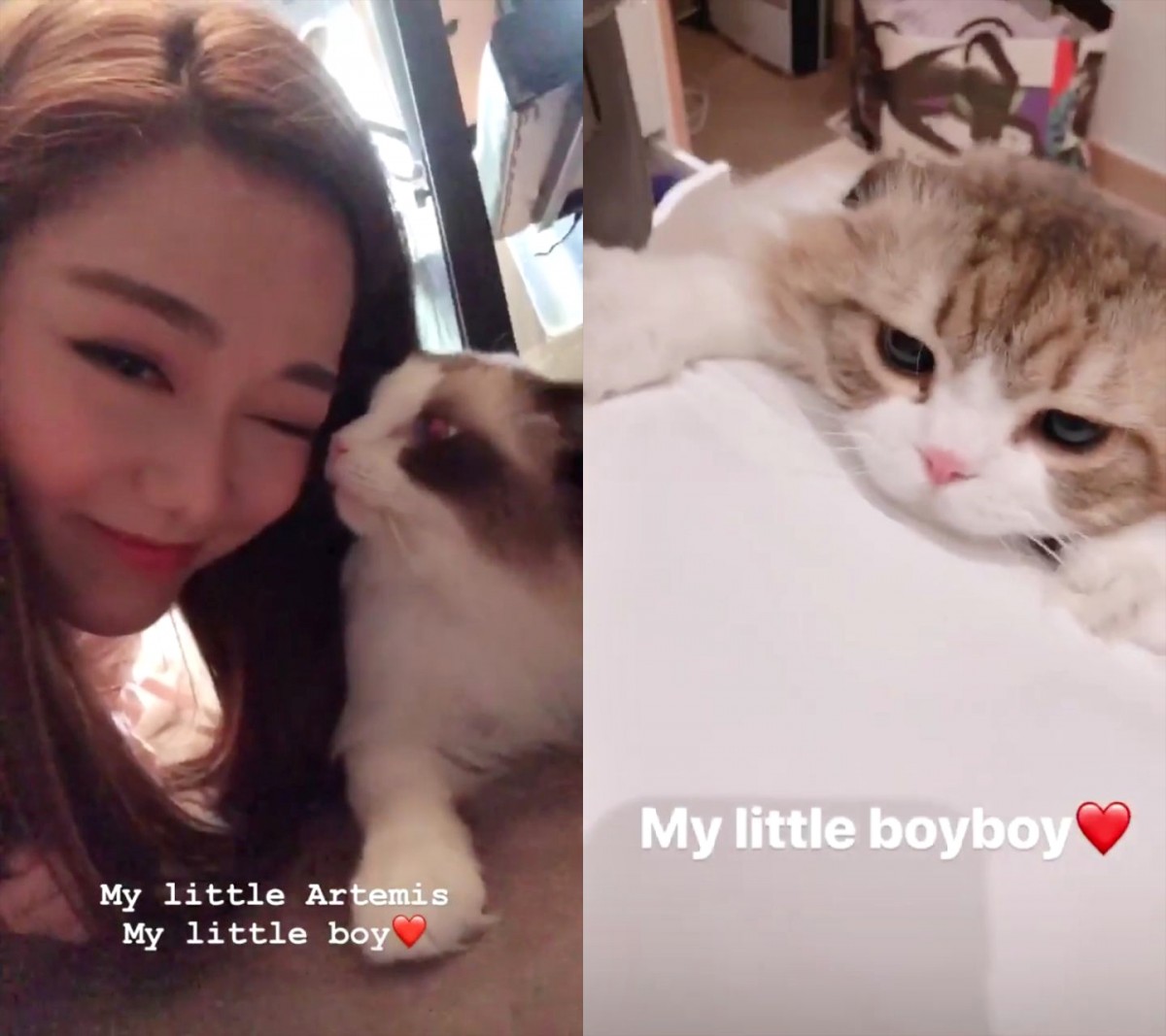 Kenneth Ma new girlfriend Roxanne Tong relationship