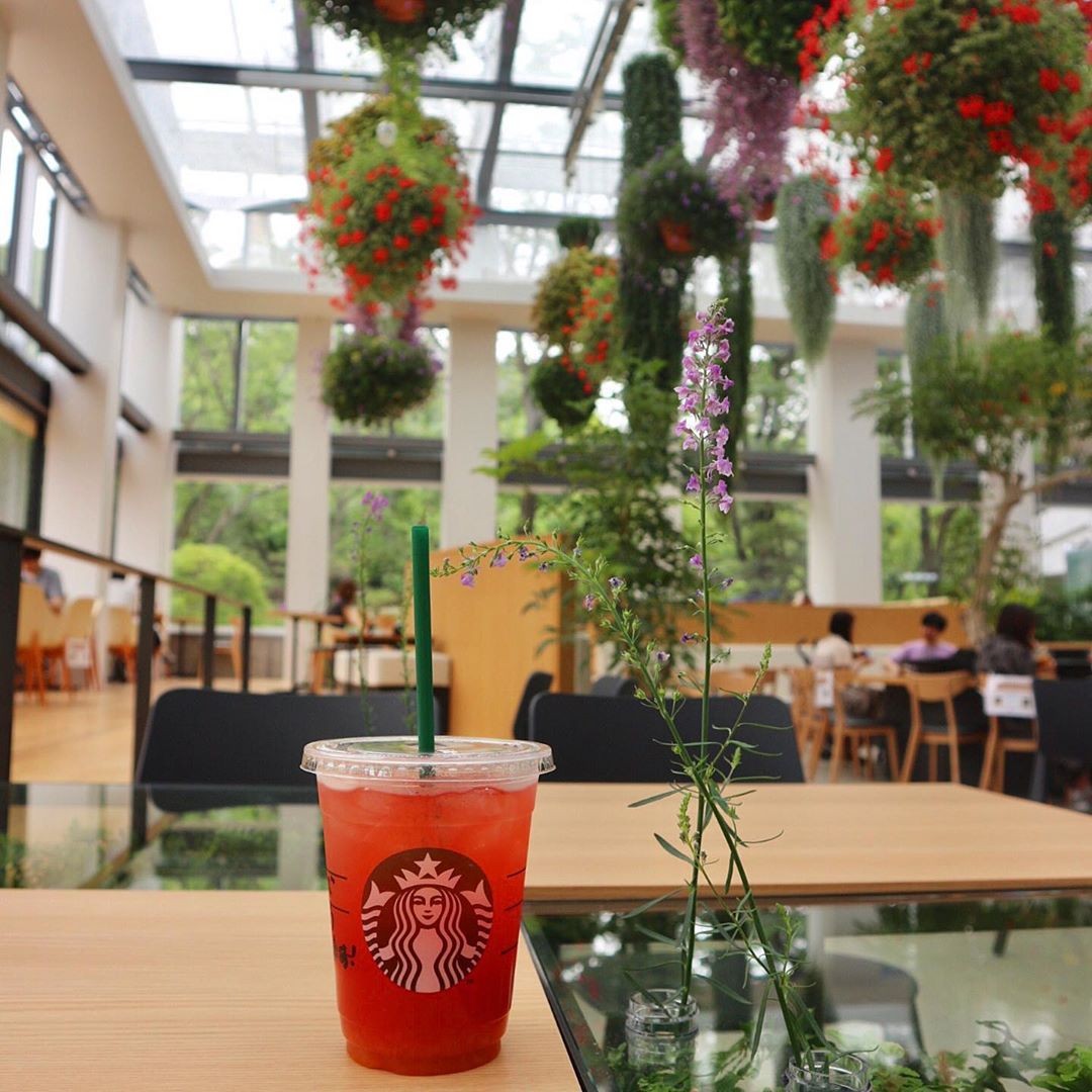 Starbucks greenhouse Japan Hana Biyori Tokyo