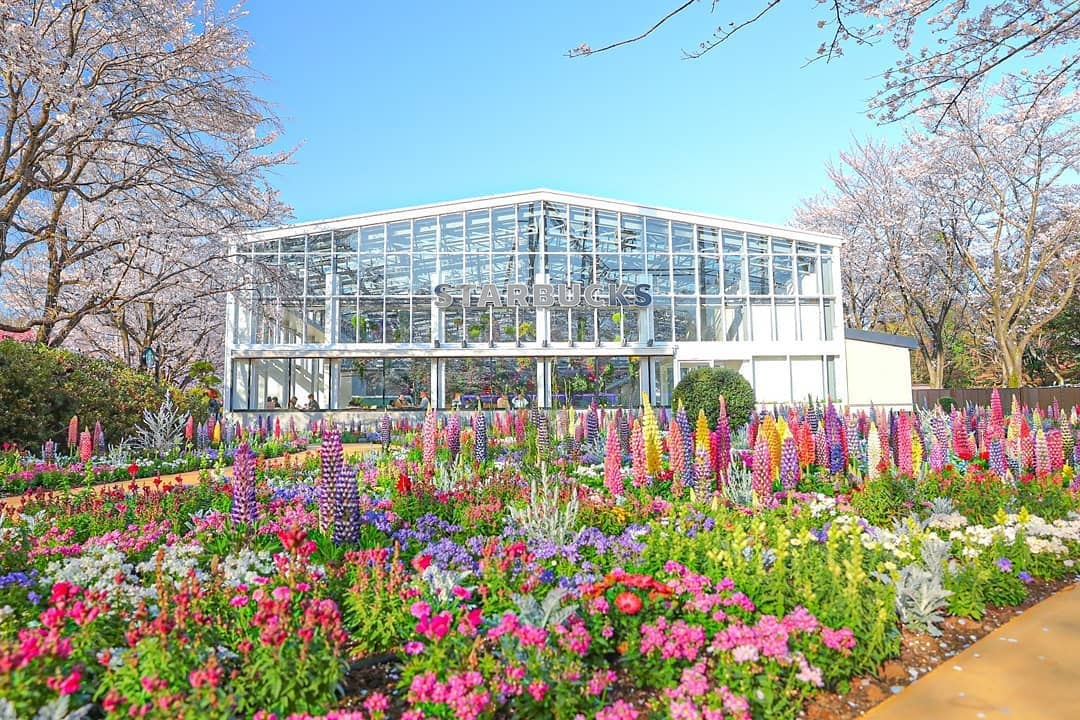 Starbucks greenhouse Japan Hana Biyori Tokyo