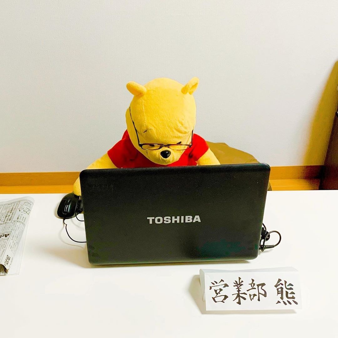 winnie-the-pooh plush toy daily life working on laptop with glasses