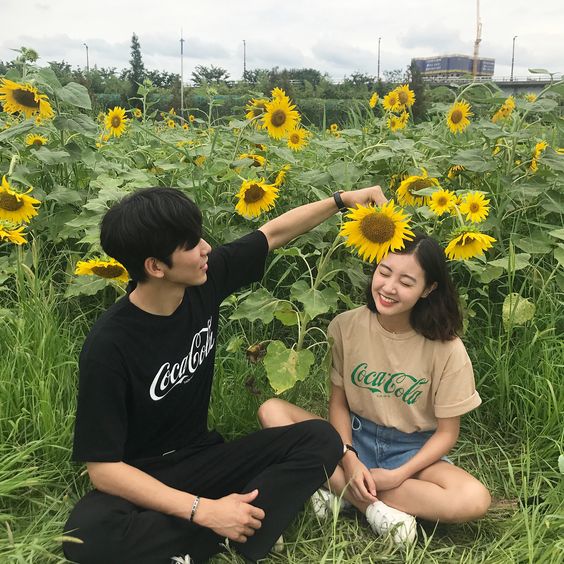 asian couple sitting on a field of sunflowers
