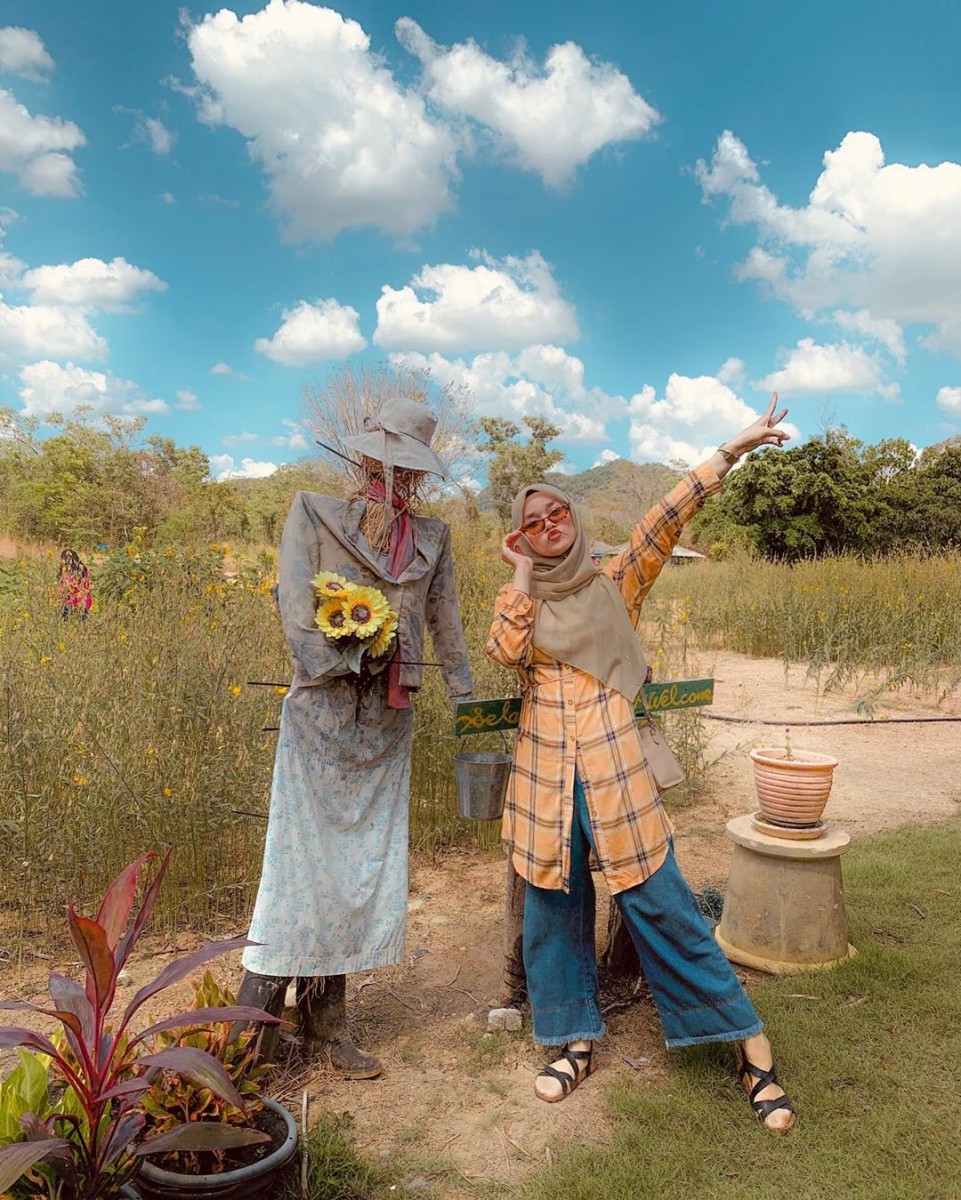 Sunflower field Malaysia Taman Ular Dan Reptilia Negeri Perlis snake park