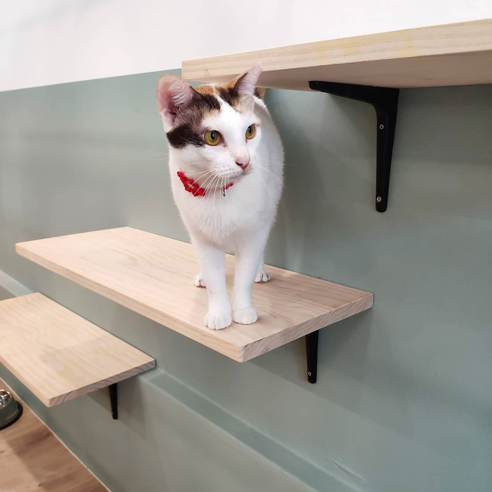 The Cafe Cafe At The Rail Mall Bukit Timah, Singapore