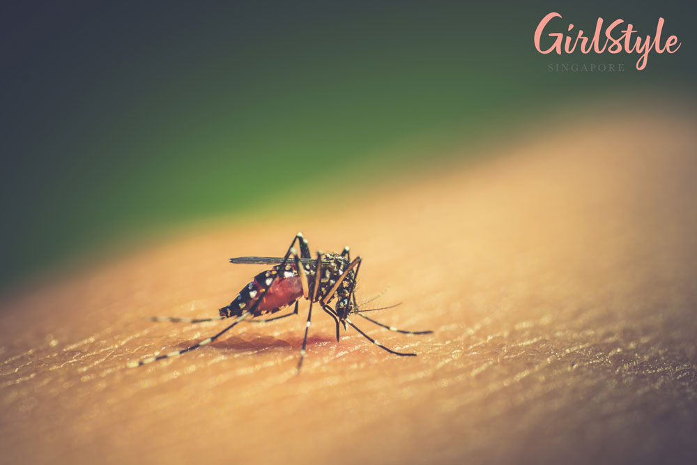 mosquito on a person's skin