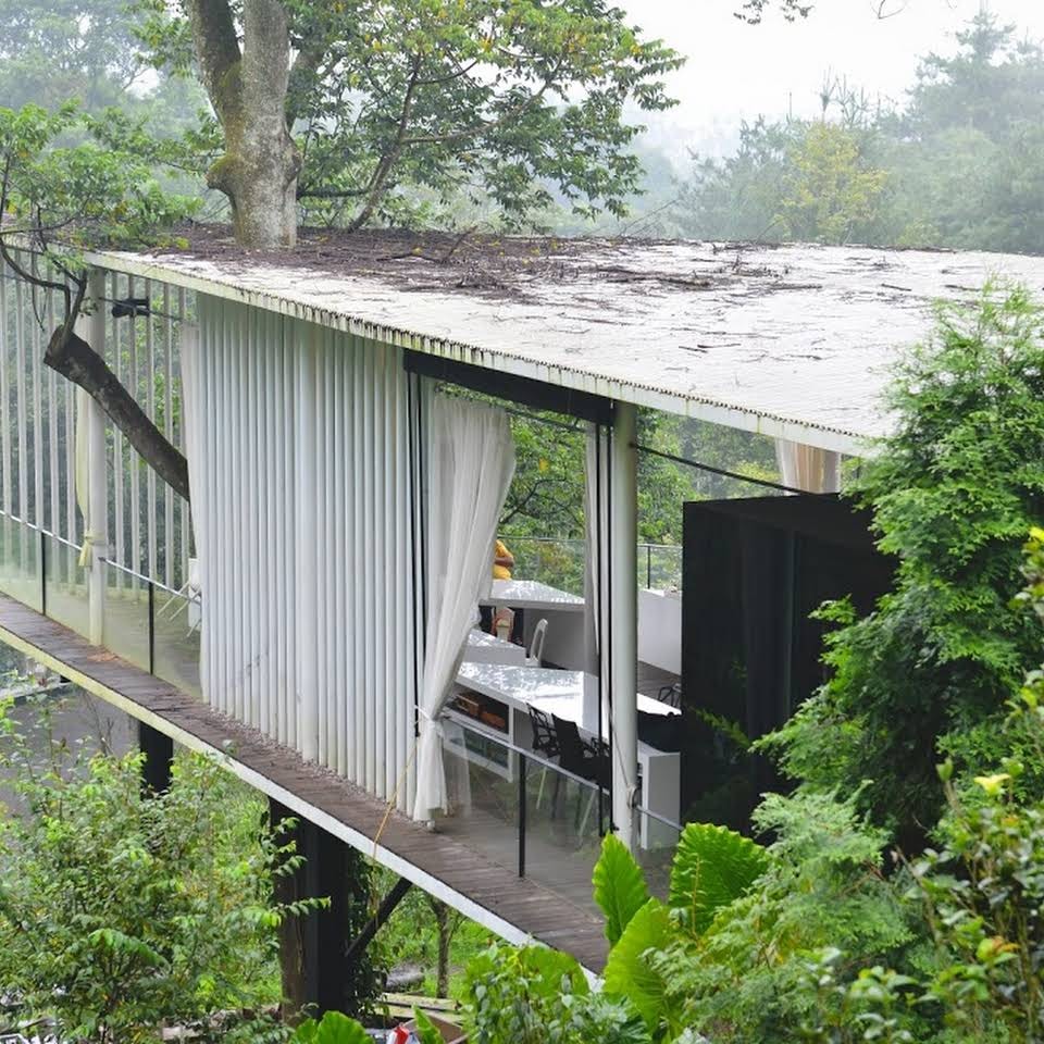 Nine Tree Forest 九樹森林 pizza restaurant