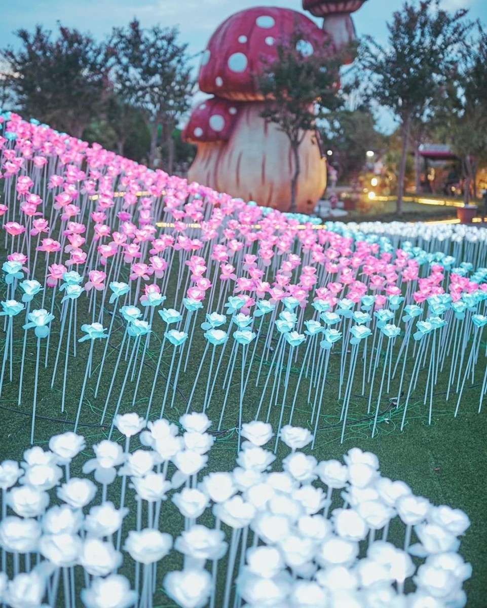 glowing flowers at Three Little Pigs Sightseeing Farm in chiayi, taiwan