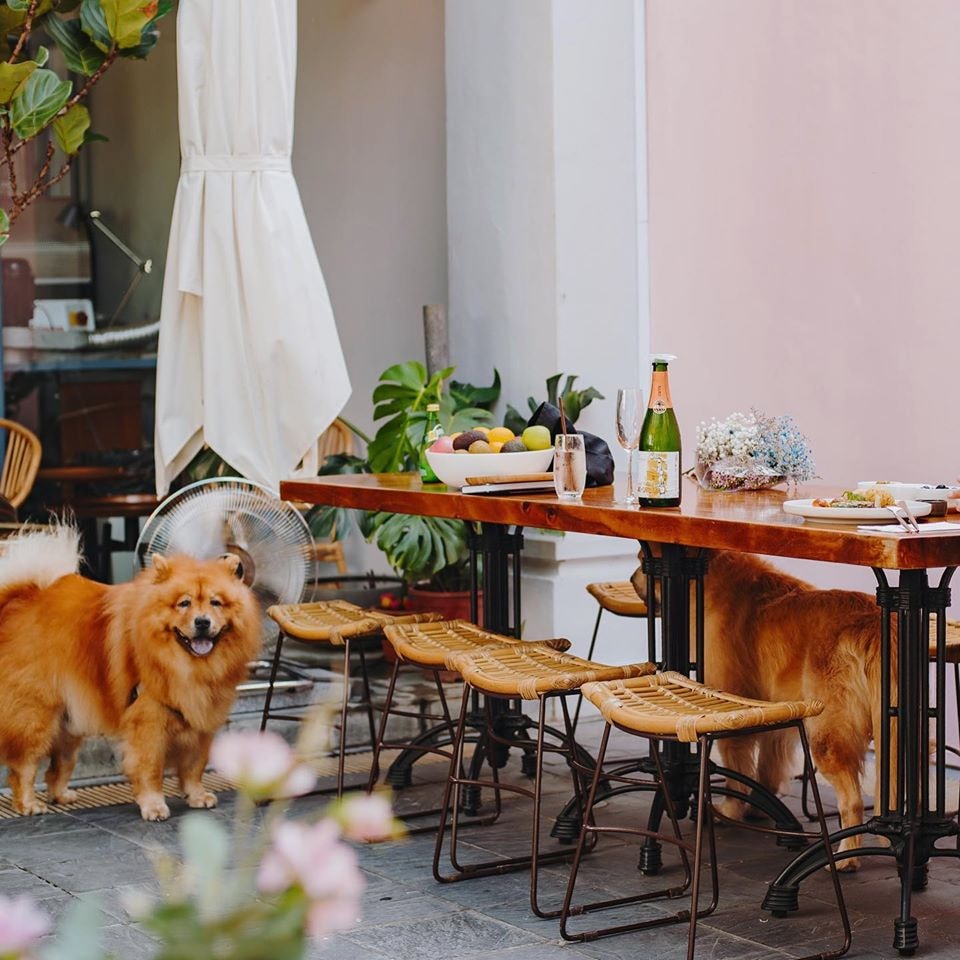 Bearded Bella outdoor dining area withdogs