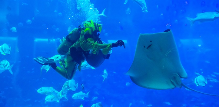 SEA Aquarium Aqua Gastronomy bubble dome dining Singapore
