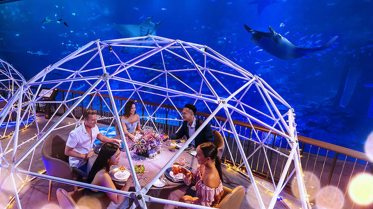 SEA Aquarium Aqua Gastronomy bubble dome dining Singapore