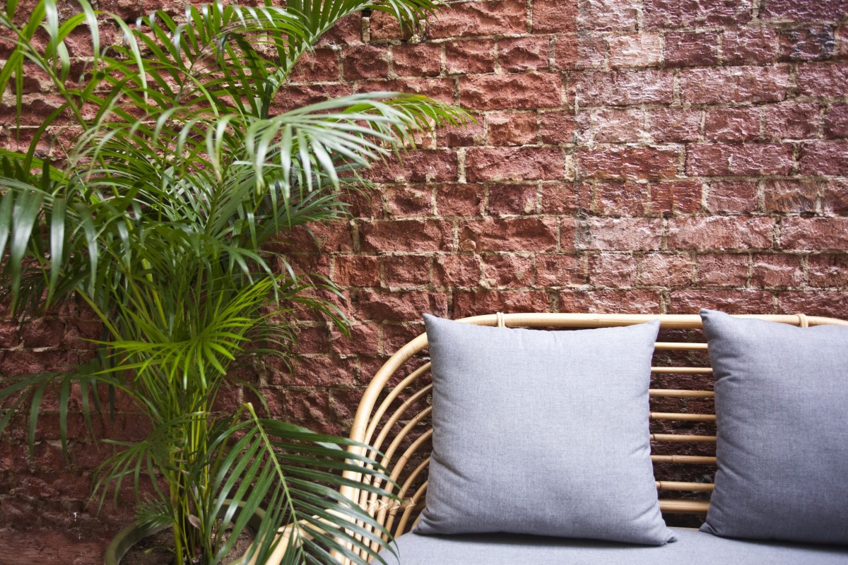 Merci Marcel Tiong Bahru garden patio