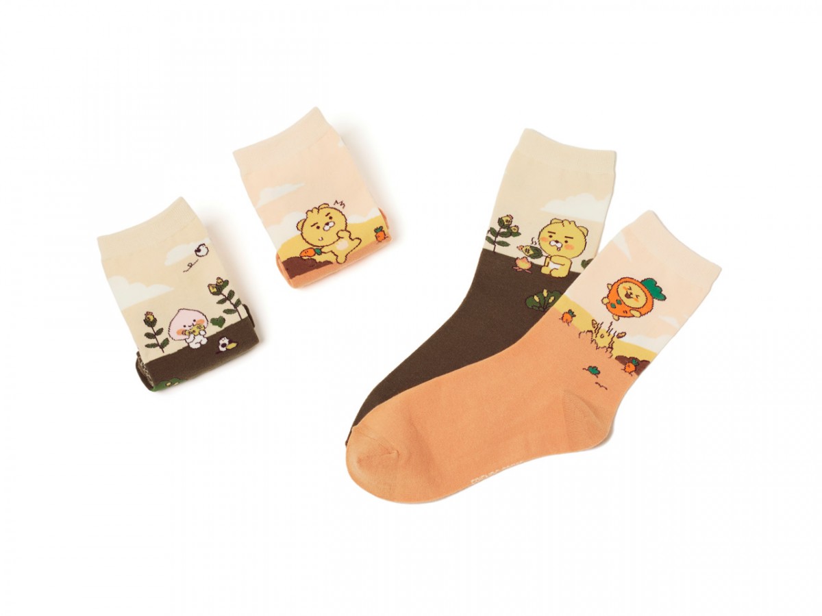 Harvest Friends socks