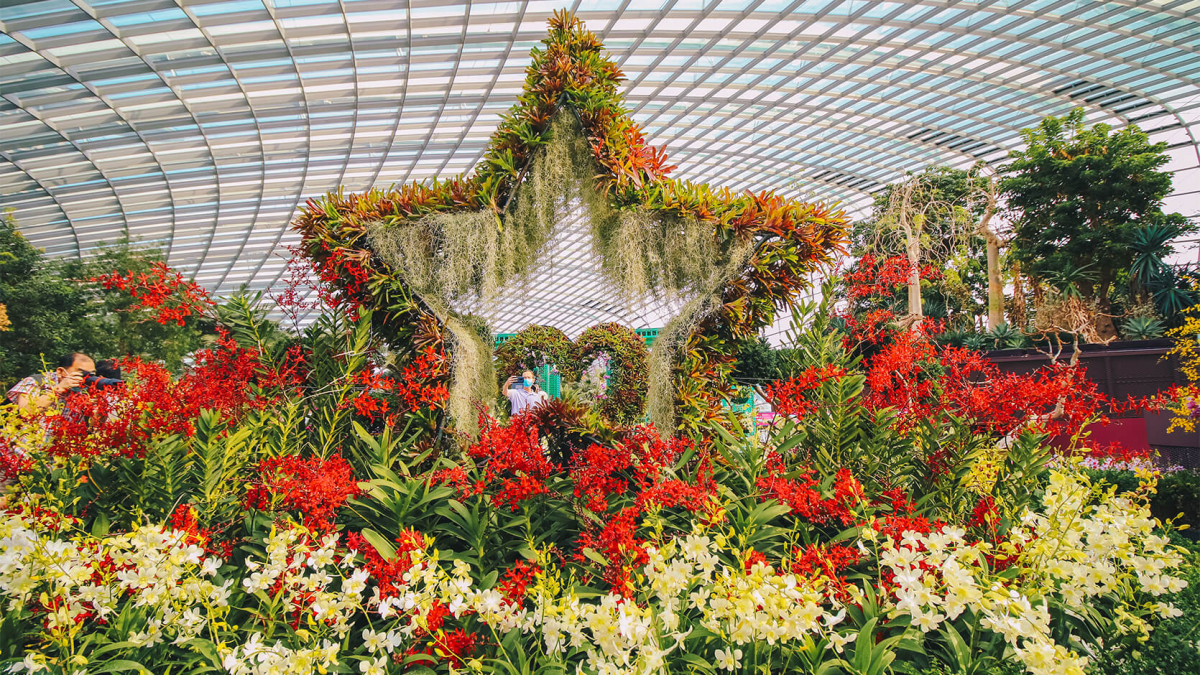 Gardens by the Bay Pocket Gardens Surprise 2020