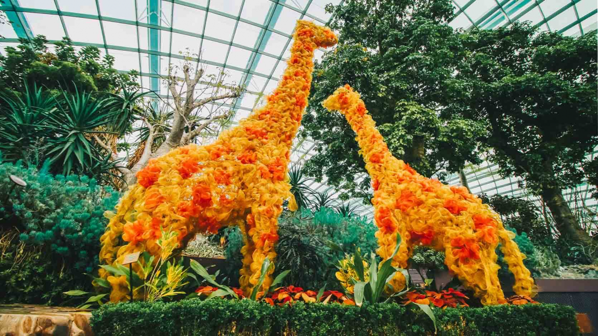 Gardens by the Bay Pocket Gardens Surprise 2020