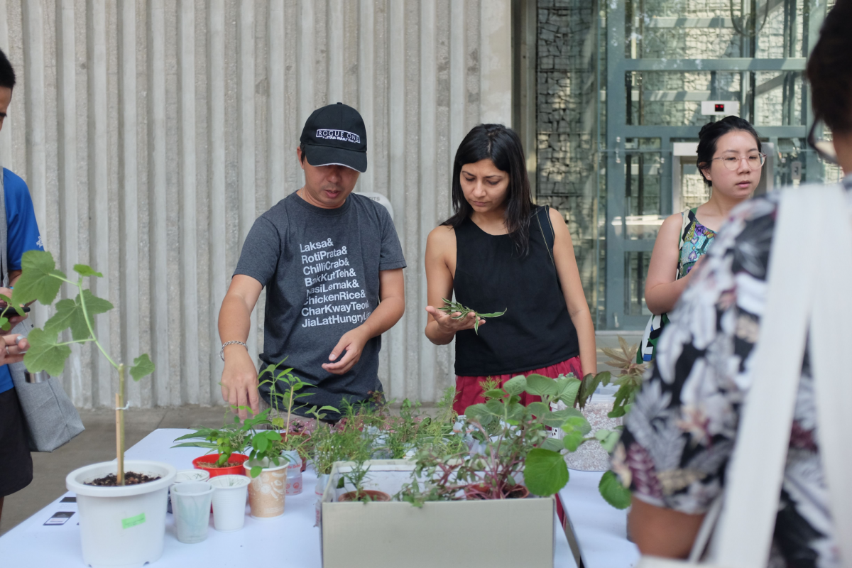 Swapaholic plant swap