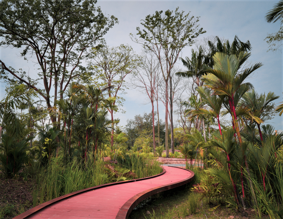 Jurong Lake Gardens cycling bicycle rental
