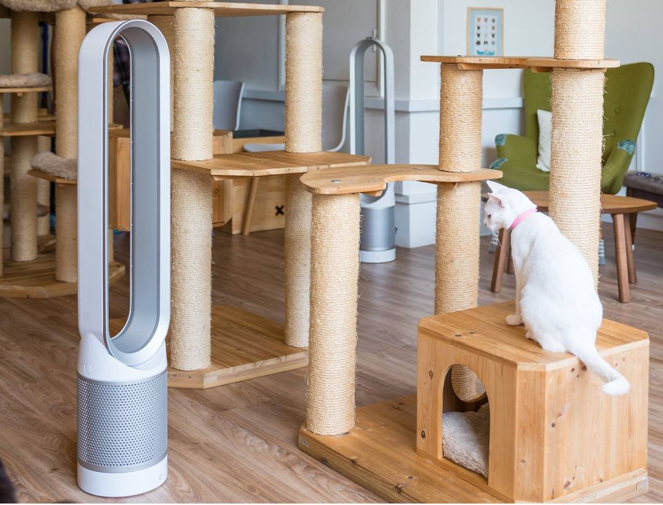 Dyson pure cool purifying tower fan