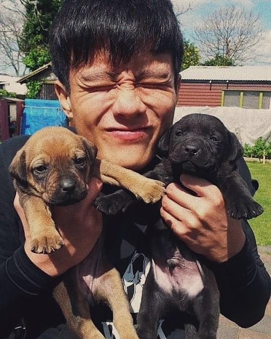 Ky Tan with puppies