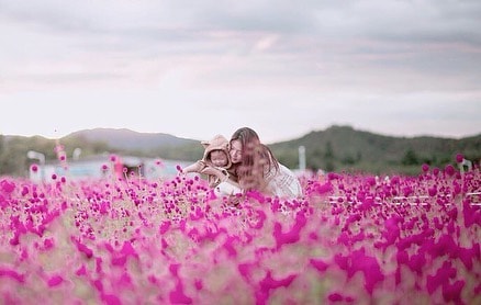 mother and baby in globe amaranth field in Yanju Nari Park, korea