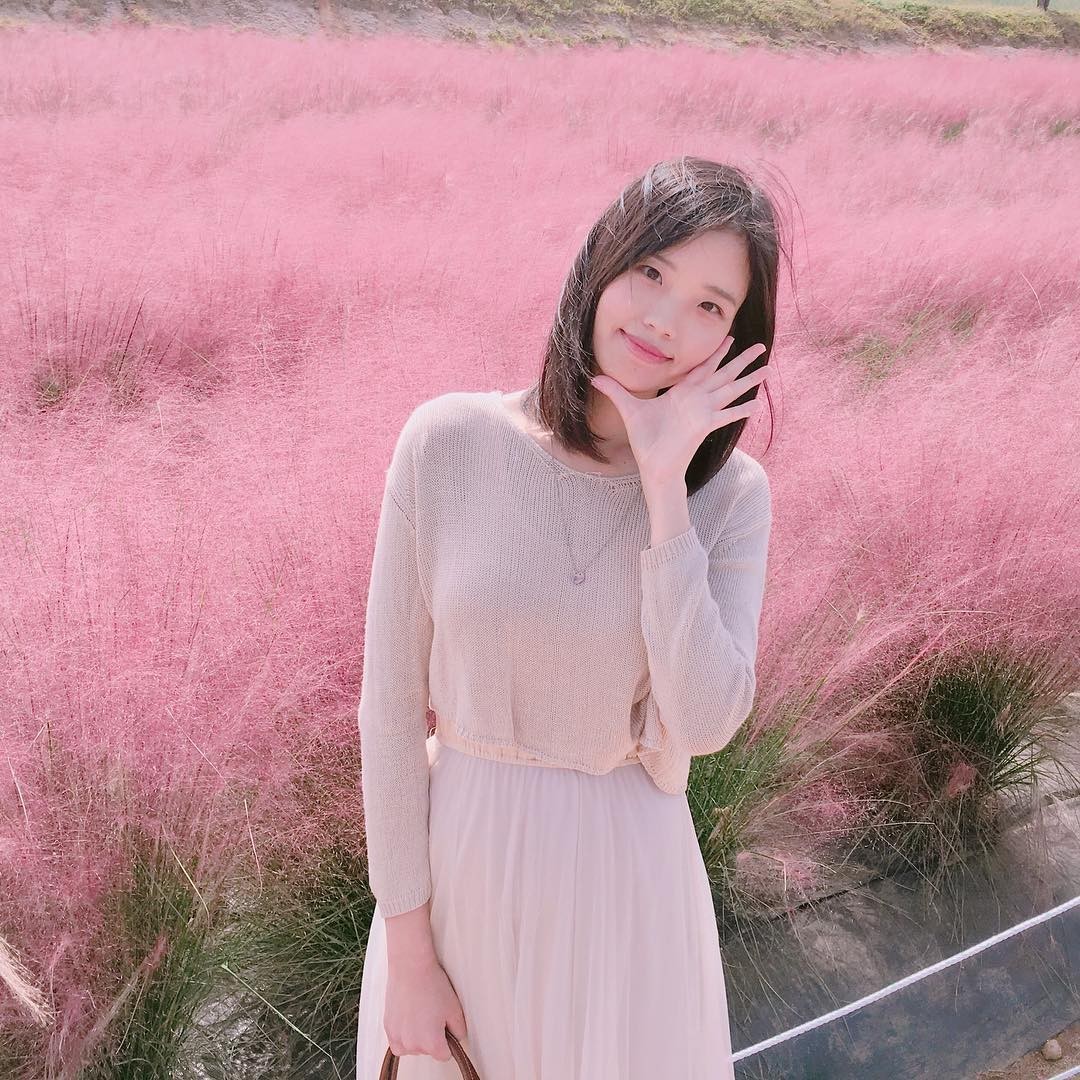 girl in pink muhly grass field in Yanju Nari Park, korea