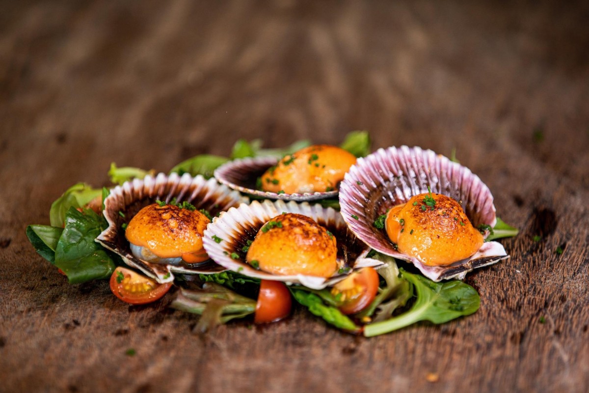 Sentosa Grillfest 2020