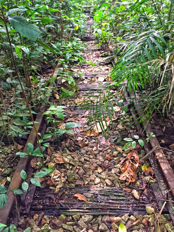 Jurong railway tunnel abandoned