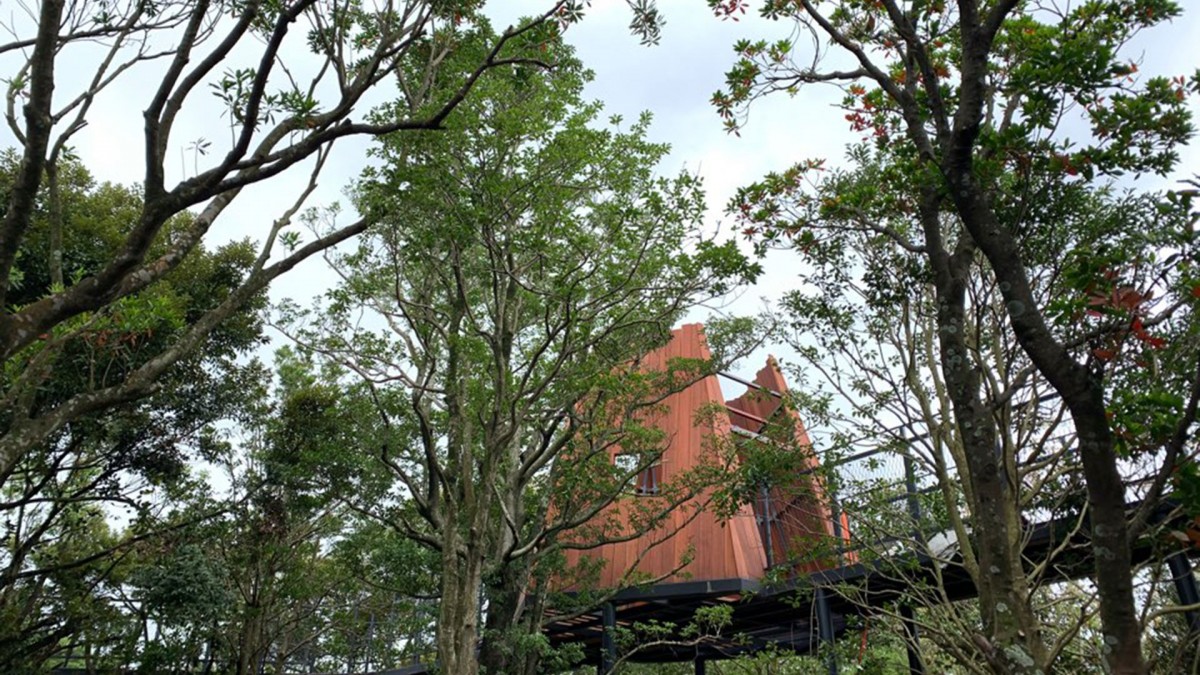 snoopy garden jeju woodstock nest