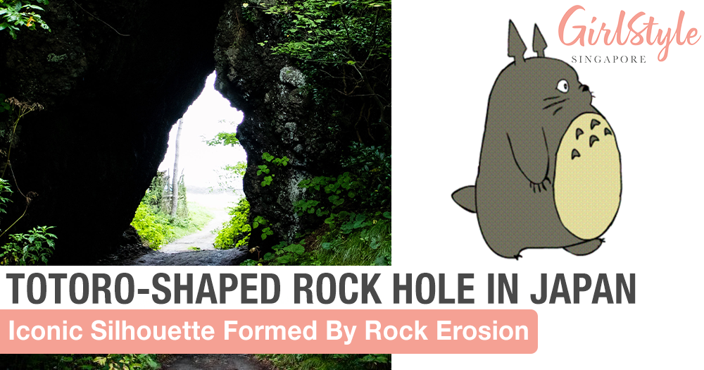 Totoro-Shaped Rock Formation Spotted In Forest In Aomori, Japan