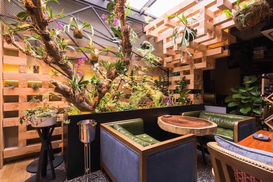 Birds of A Feather interior