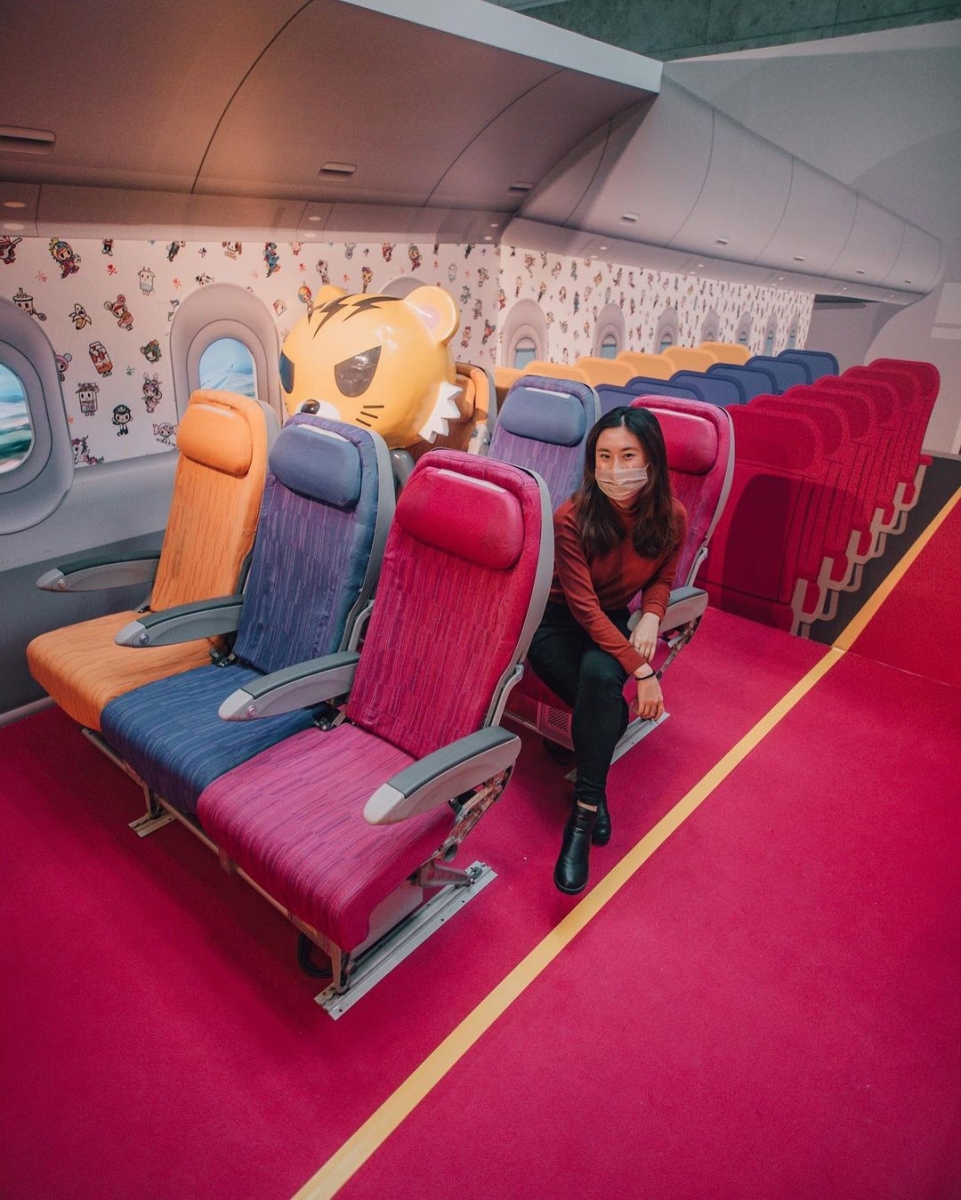 tokidoki-themed plane