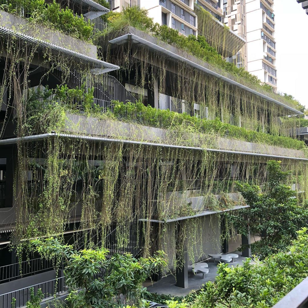 carpark hanging vines at skyterrace @ dawson queenstown