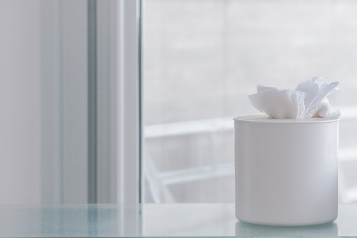 Tissues in a white box