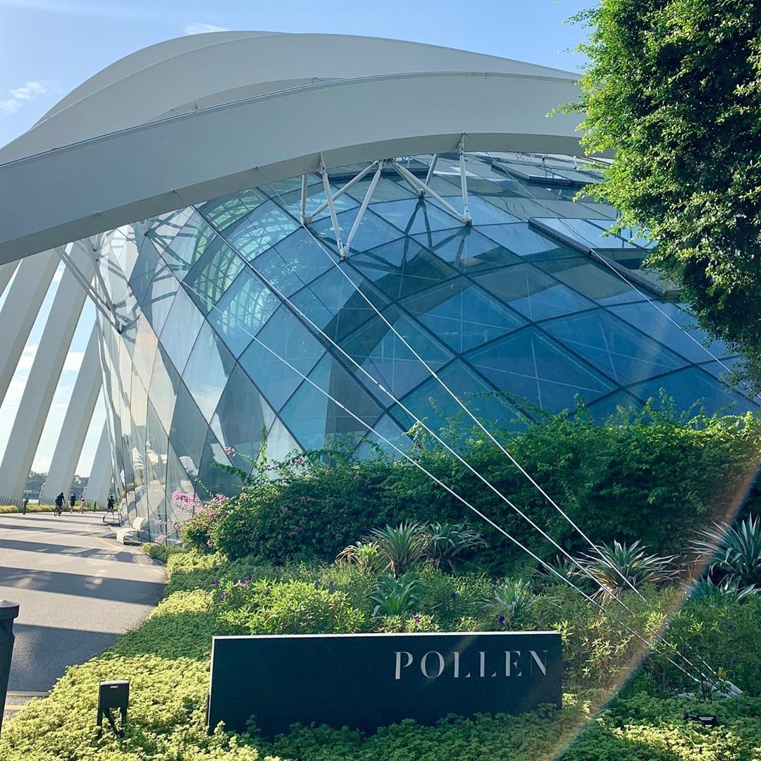POLLEN Singapore dome