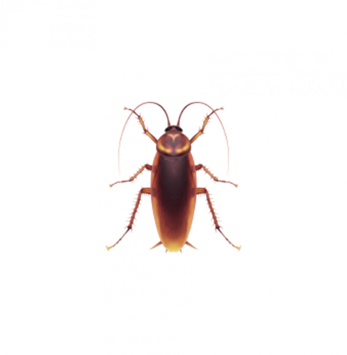 Apple cockroach emoji