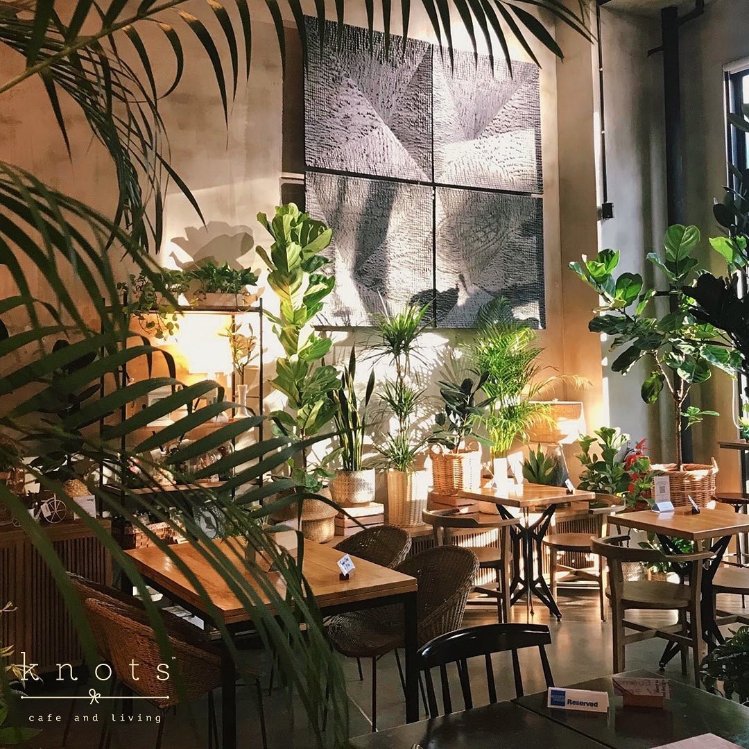 Knots Cafe and Living