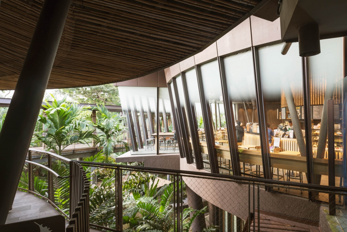 Starbucks River Safari outside exterior