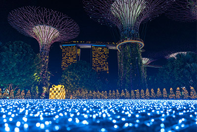 Christmas light-up Singapore 2020 Gardens by the Bay