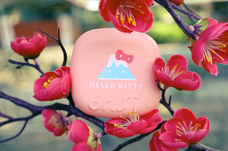 dr.si hello kitty plum blossom reusable straw and case