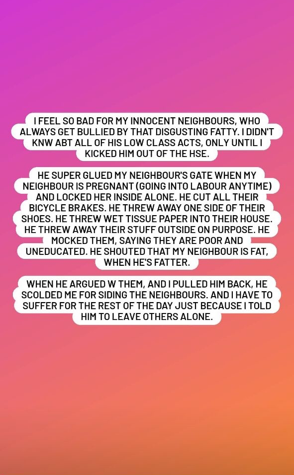 Joshua Ang divorce Shannon Low abuse