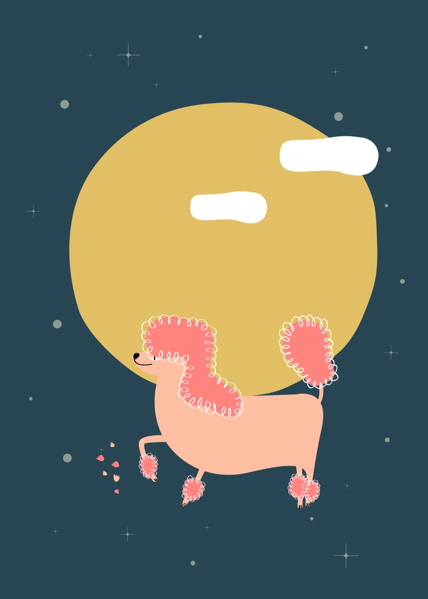 Chinese zodiac dog
