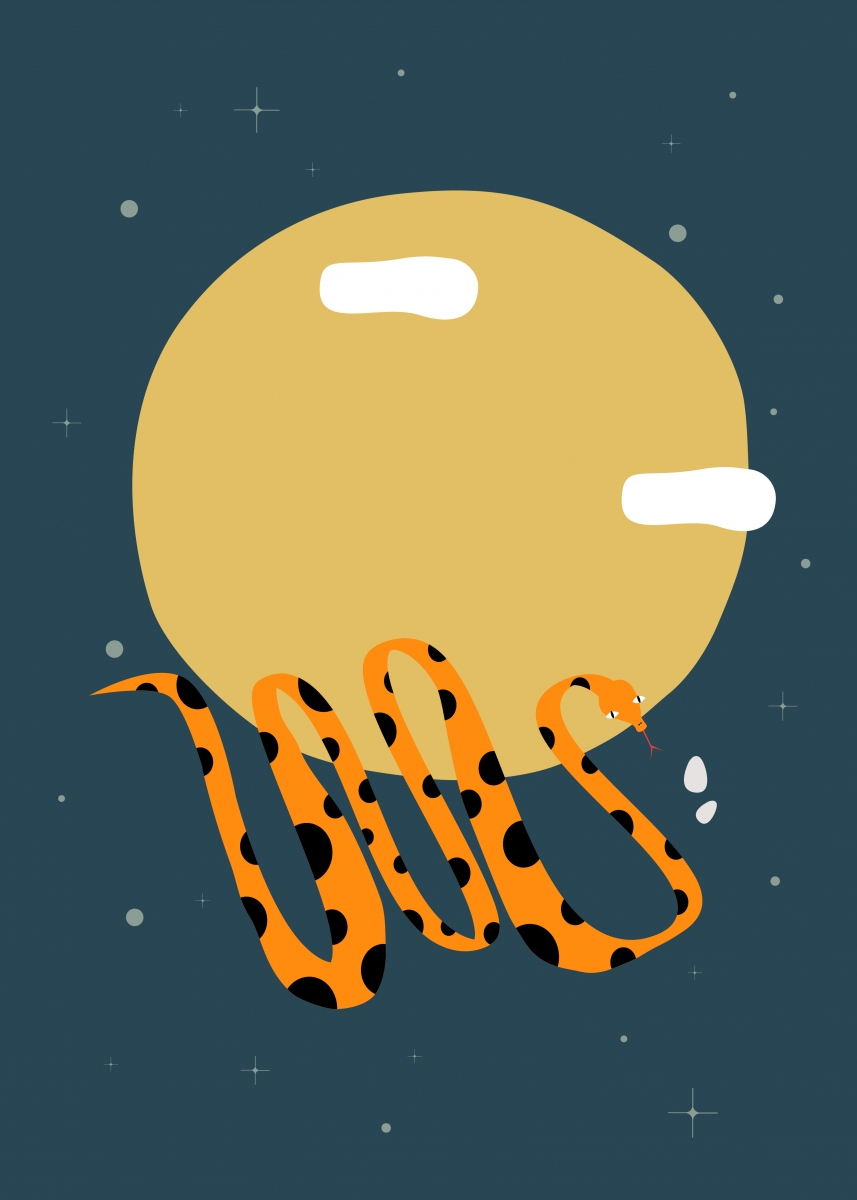 Chinese zodiac snake