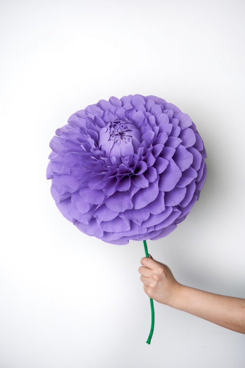 The Fhing Singapore giant crepe flowers