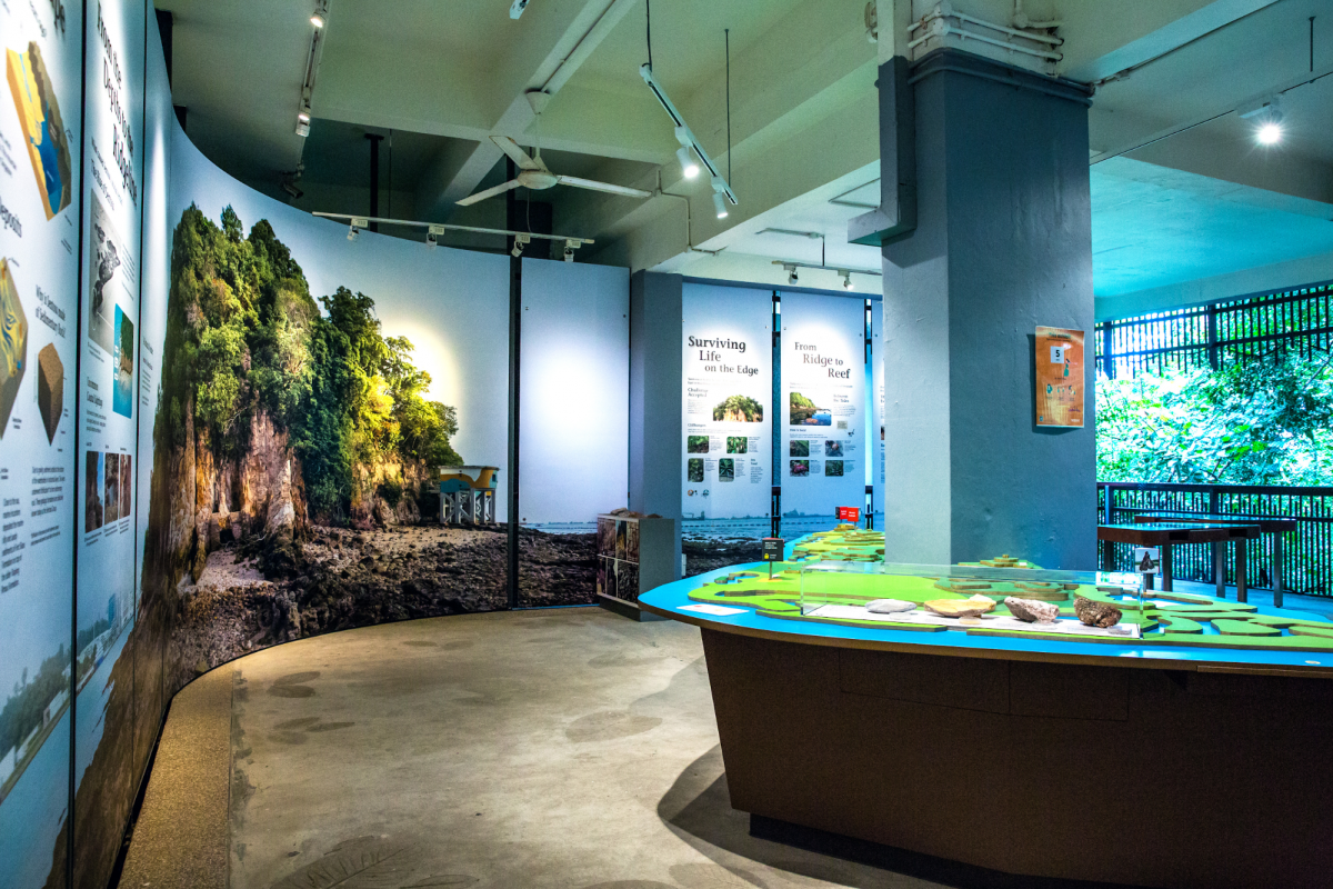 Sentosa Geology Gallery