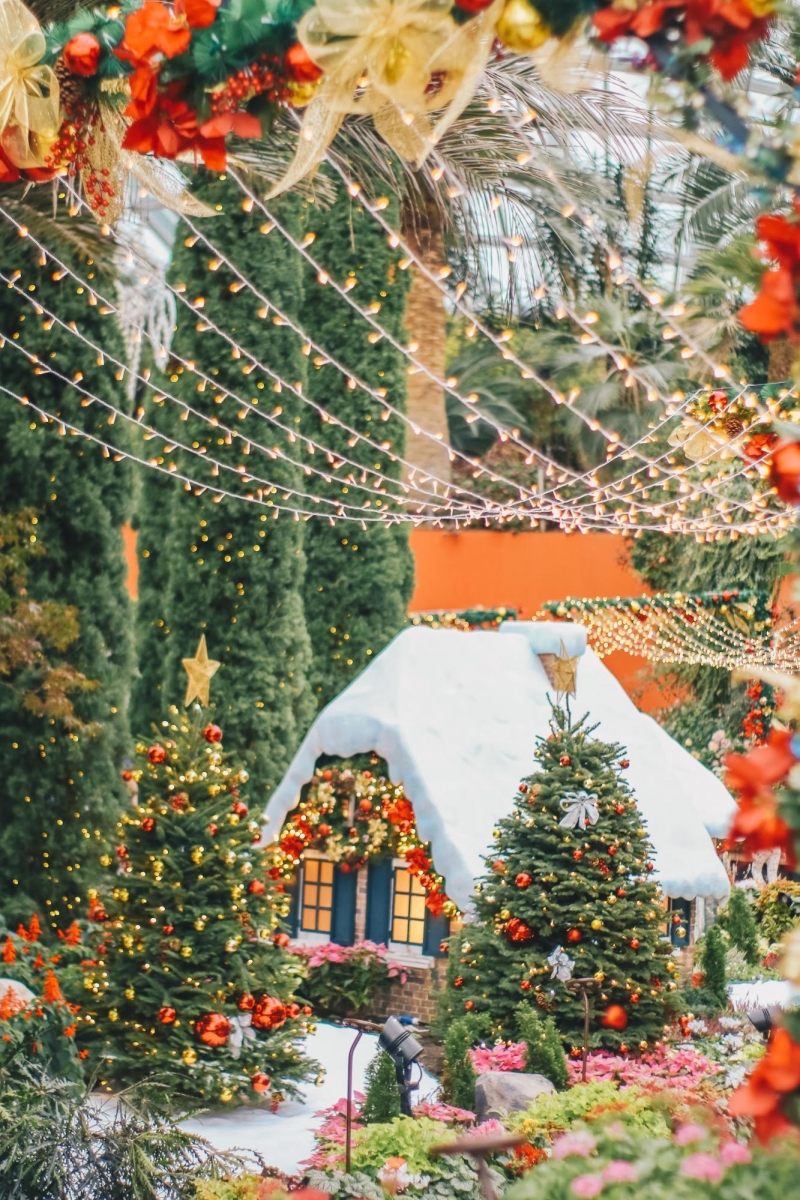 Poinsettia Wishes 2020 Gardens by the Bay Singapore
